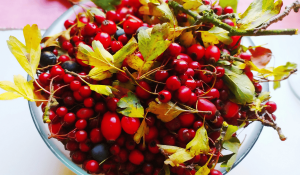 Hawthorn Berries