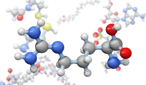 L-Arginine
