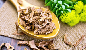 Rhodiola