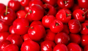 Acerola