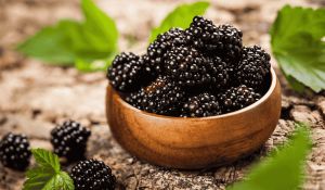 Blackberry (Rubus fruticosus)